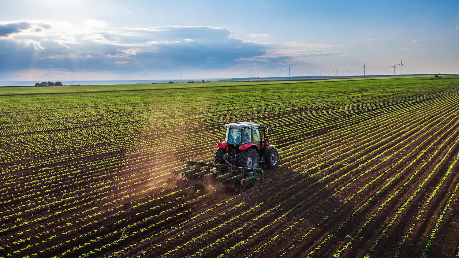 Tractor