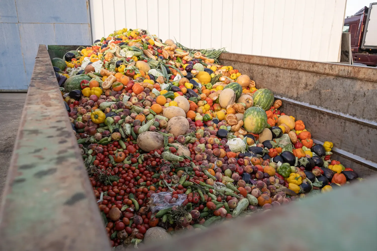 Verduras