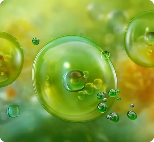 PTB de Colmenar Viejo en cifras